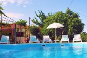 Sunflower house with a pool and large garden